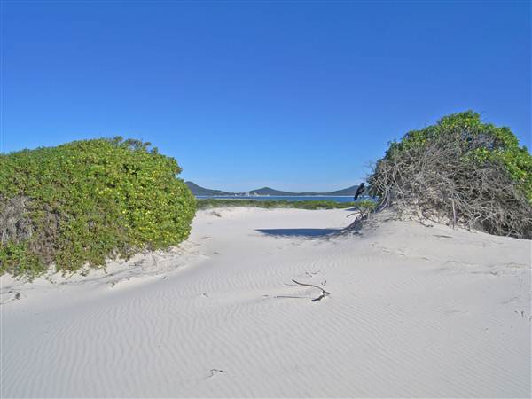 Bennetts Beach (26/02/2013 1:01:27 PM)