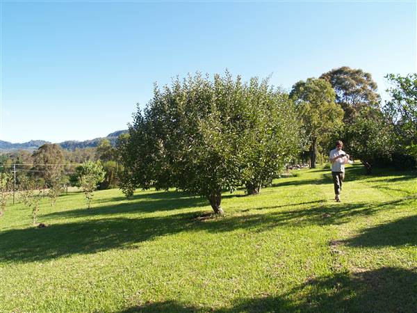 Big Bell farm, Kangaroo Valley (26/02/2013 1:38:15 PM)