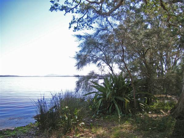 Northern Broadwater Picnic Area (26/02/2013 4:36:45 PM)