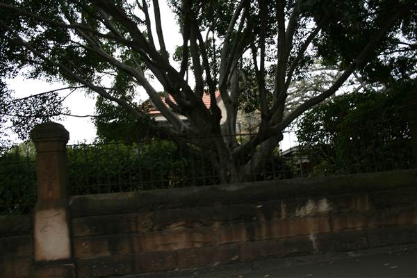 Broadway (26/02/2013 4:52:56 PM)