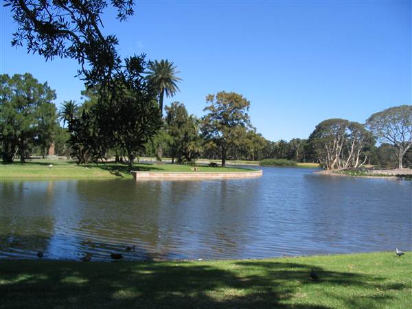 Centennial Park (27/02/2013 10:45:52 AM)