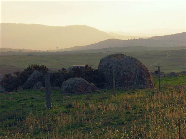 Dalgety/Cooma (27/02/2013 10:54:54 AM)