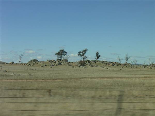 Dalgety/Cooma (27/02/2013 10:58:01 AM)