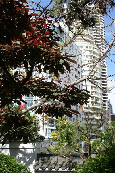 Chinese Garden of Friendship - Darling Harbour (27/02/2013 1:35:04 PM)