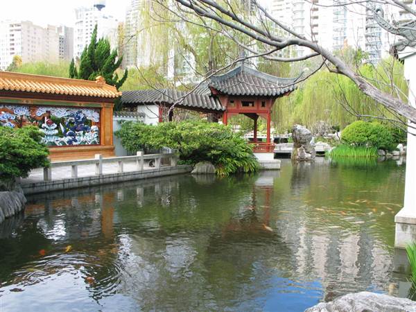 Chinese Garden of Friendship - Darling Harbour (27/02/2013 1:37:29 PM)