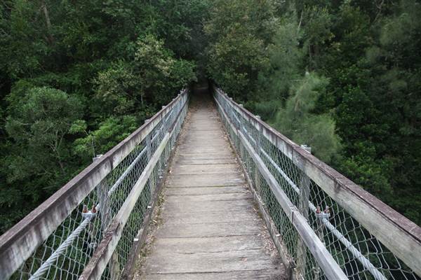 Kangaroo Valley River Suspension Bridge (27/02/2013 4:21:02 PM)