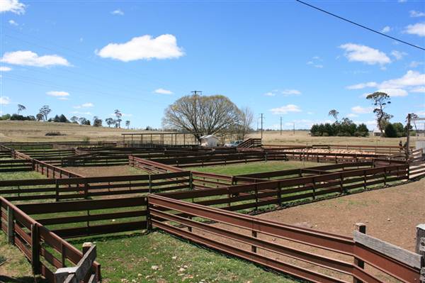 Deeargee Woolshed (27/02/2013 7:50:11 PM)