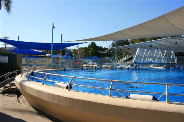 Dolphin Marine Magic (27/02/2013 10:43:39 PM)