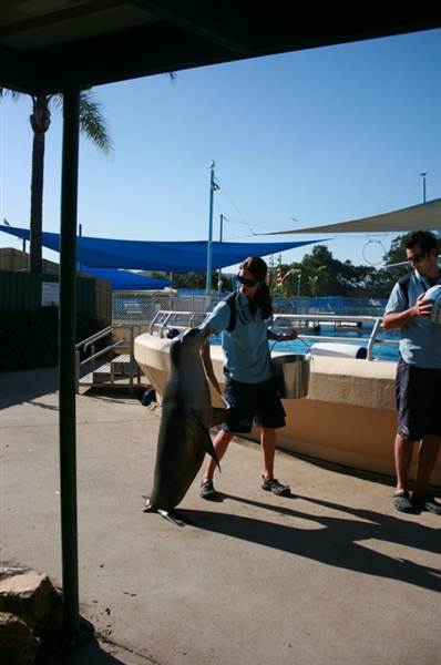 Dolphin Marine Magic (27/02/2013 10:44:07 PM)