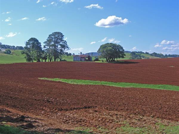 Dorrigo - General (27/02/2013 10:51:27 PM)