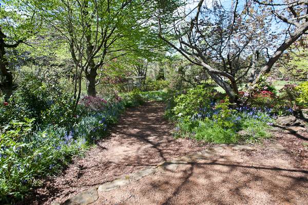 Lady Fairfax Gardens (28/02/2013 10:11:14 AM)