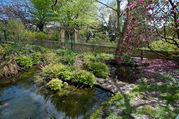 Lady Fairfax Gardens (28/02/2013 10:11:47 AM)