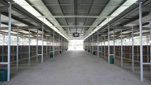 Menangle Park Paceway (28/02/2013 3:35:06 PM)