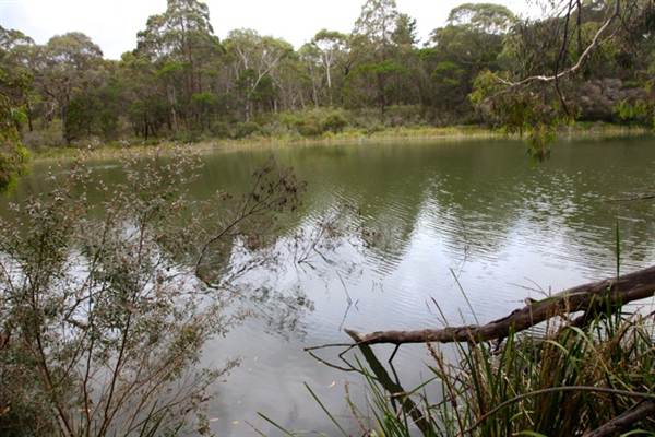 Berrima Reserve (28/02/2013 9:35:14 PM)
