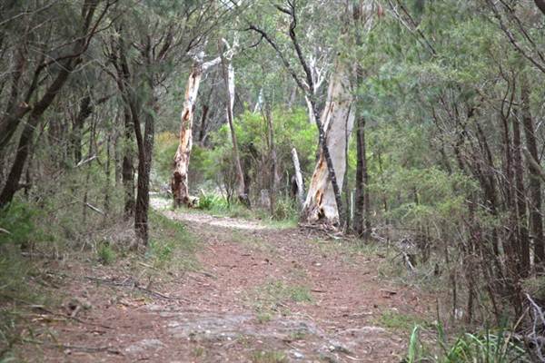 Berrima Reserve (28/02/2013 9:35:42 PM)