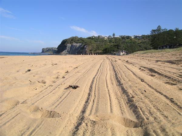 Bilgola Beach (1/03/2013 10:10:59 AM)