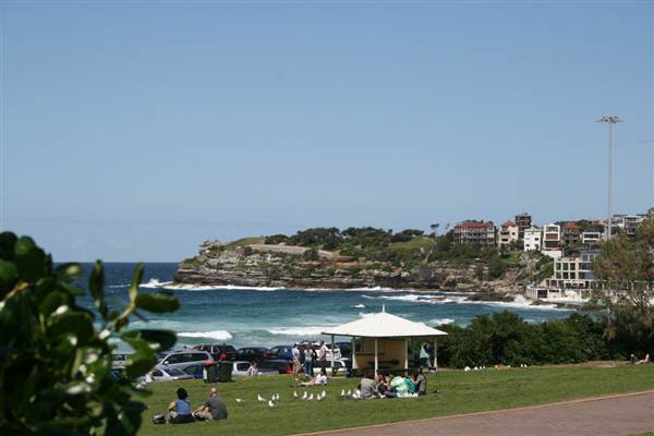 BONDI BEACH BUILDINGS (1/03/2013 11:02:00 AM)