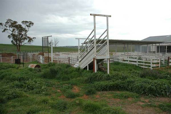 Boorowa (1/03/2013 11:30:06 AM)