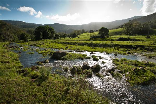 Jamberoo (1/03/2013 11:33:45 AM)