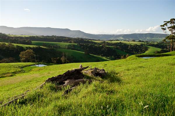 Jamberoo (1/03/2013 11:34:17 AM)