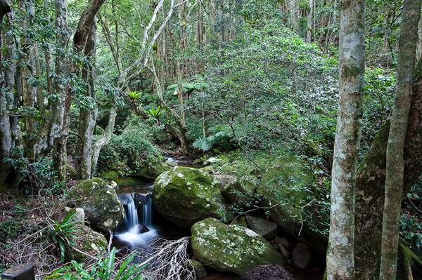 Jamberoo (1/03/2013 11:34:53 AM)