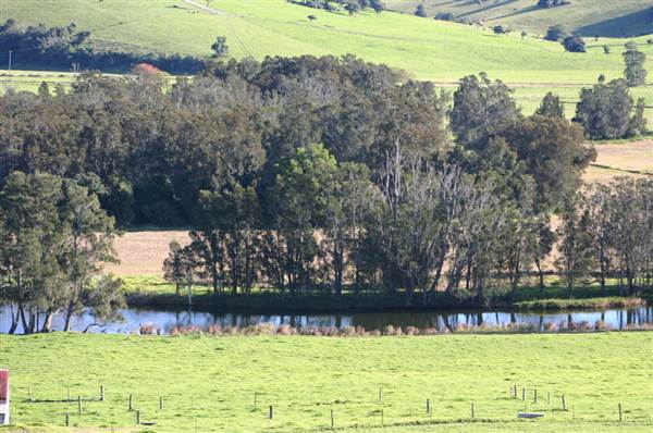 Jamberoo (1/03/2013 11:36:40 AM)