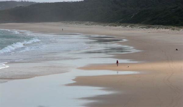 Racecourse Beach (1/03/2013 11:38:26 AM)