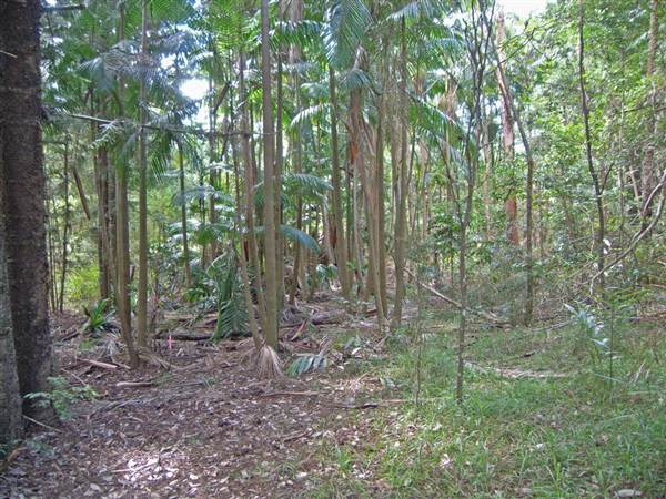 Private Property (1/03/2013 11:48:39 AM)