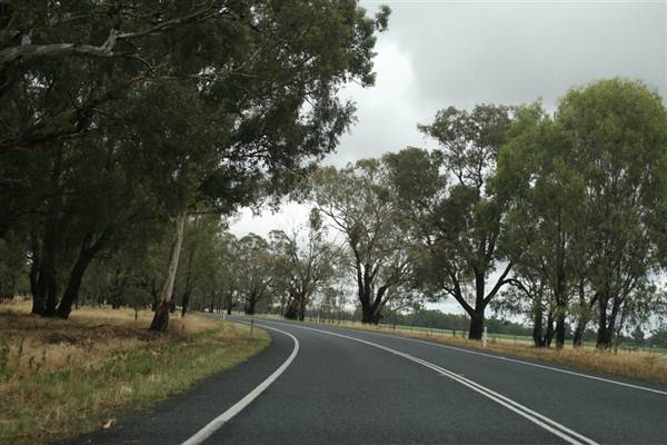 Wagga Wagga (1/03/2013 12:05:04 PM)