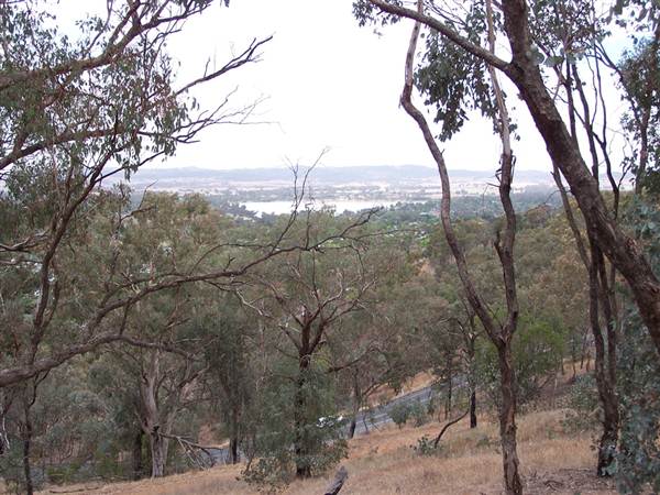 Wagga Wagga (1/03/2013 12:06:30 PM)