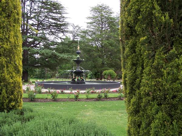 Wagga Wagga (1/03/2013 12:07:00 PM)