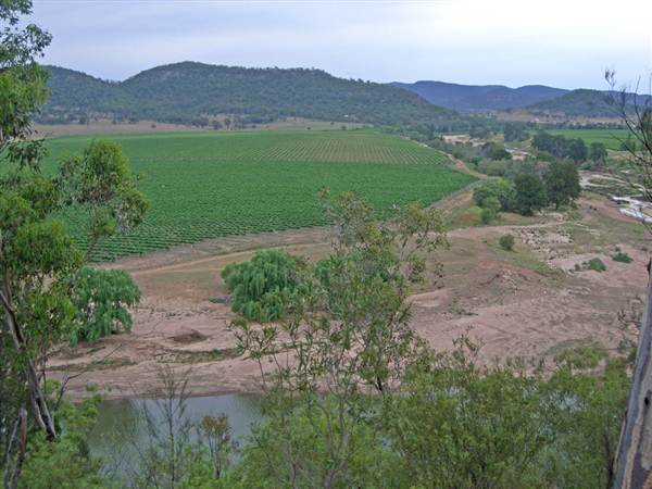 Broke vineyards (1/03/2013 12:13:29 PM)