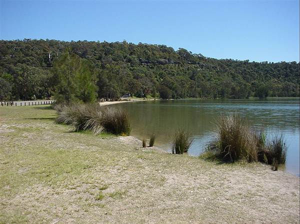 Narrabeen (1/03/2013 2:52:22 PM)
