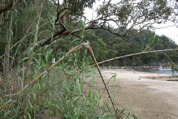 Broken Bay Sport & Recreation Centre (1/03/2013 5:37:01 PM)