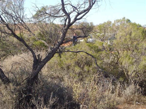 Broken Hill Area (1/03/2013 7:36:59 PM)
