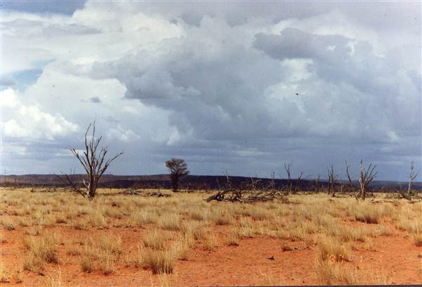 Broken Hill Area (Inc. Silverton) (1/03/2013 8:00:03 PM)