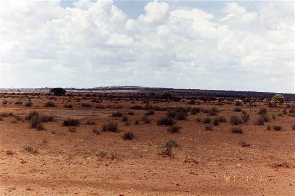 Broken Hill Area (Inc. Silverton) (1/03/2013 8:01:33 PM)