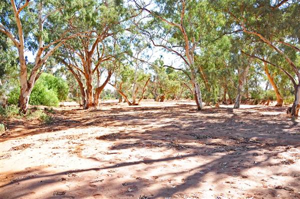 Broken Hill Area (Inc. Silverton) (1/03/2013 8:59:02 PM)