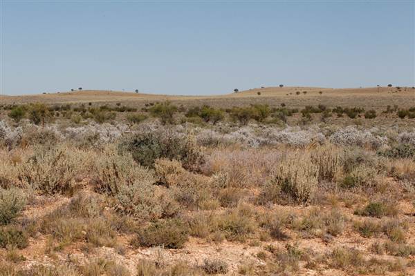 BROKEN HILL, OUTCROPS & SURROUNDS 2012 (2/03/2013 3:12:58 PM)