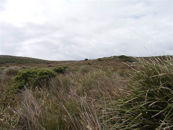 Broughton Island (2/03/2013 3:24:19 PM)