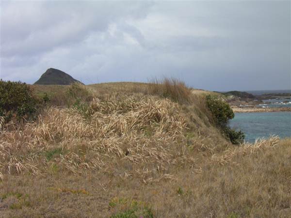 Broughton Island (2/03/2013 3:27:40 PM)