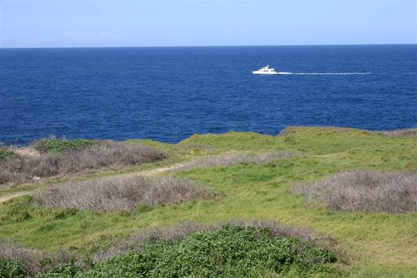 Cape Banks (3/03/2013 8:27:16 AM)