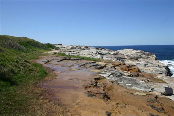 Cape Banks (3/03/2013 8:28:20 AM)