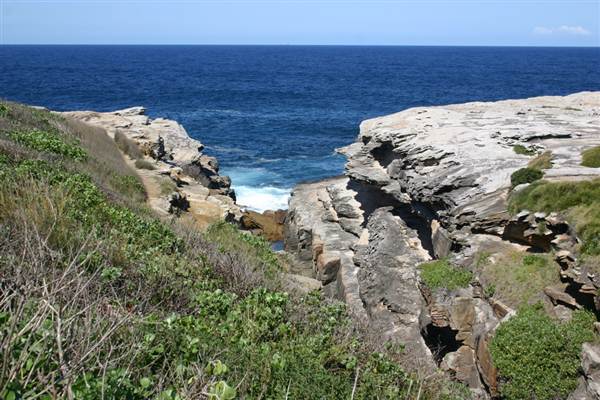 Cape Banks (3/03/2013 8:28:57 AM)
