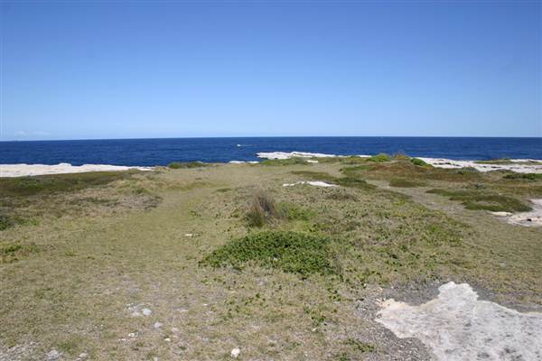 Cape Banks (3/03/2013 8:30:01 AM)