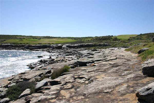 Cape Banks (3/03/2013 8:30:32 AM)
