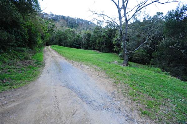 Canyon Park (3/03/2013 8:39:53 AM)