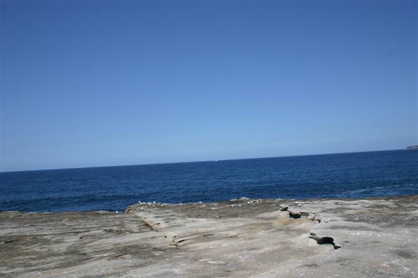 Clovelly Bay (3/03/2013 4:35:12 PM)