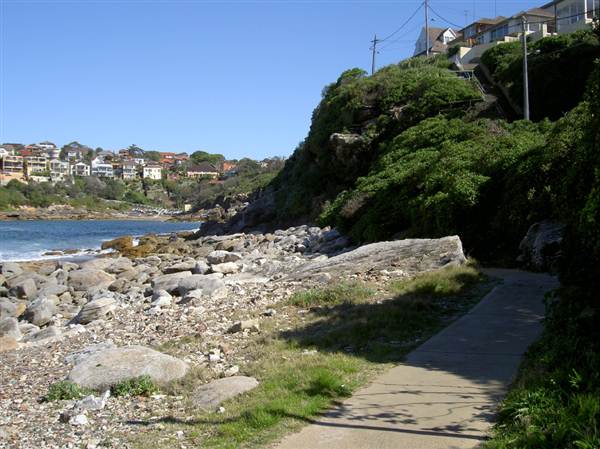 Clovelly Bay (3/03/2013 4:36:50 PM)