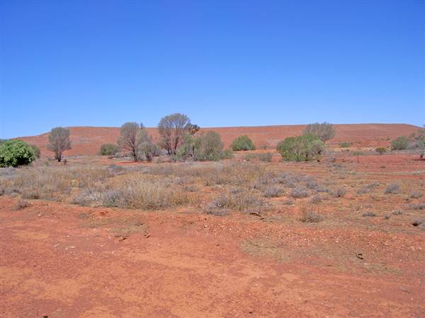 Cobar (4/03/2013 9:35:29 AM)